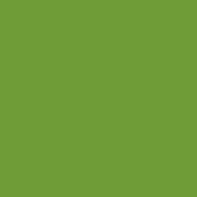 Fleurs en Deuil | mosaïque : couleur dominante verte du coussin