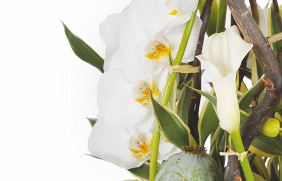 Fleurs en Deuil | image d'un calla et d'orchidées de la Composition deuil blanche & verte "L'Instant"