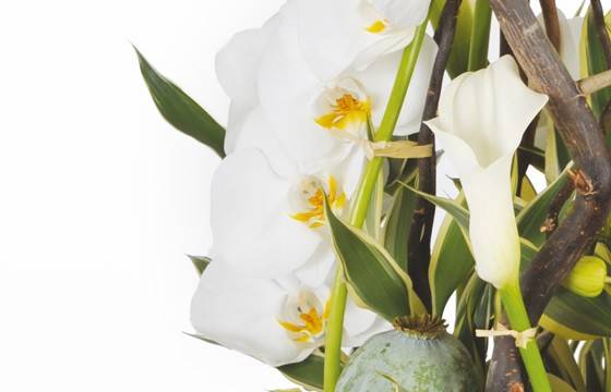 Fleurs en Deuil | image d'un calla et d'orchidées de la Composition deuil blanche & verte "L'Instant" Fleurs en Deuil | image d'un calla et d'orchidées de la Composition deuil blanche & verte "L'Instant"