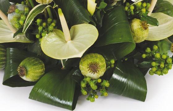 Fleurs en Deuil | image d'un anthurium vert de la Composition deuil blanche & verte "L'Instant"