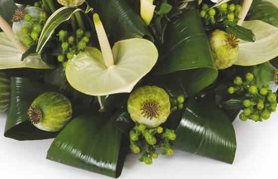 Fleurs en Deuil | image d'un anthurium vert de la Composition deuil blanche & verte "L'Instant" Fleurs en Deuil | image d'un anthurium vert de la Composition deuil blanche & verte "L'Instant"