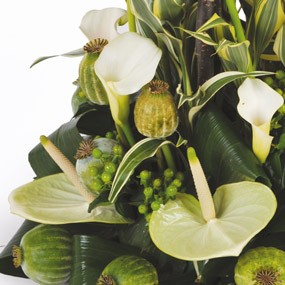 Fleurs en Deuil | mosaïque,  vue sur des callas blancs et des anthuriums verts