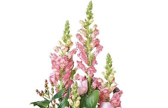 Fleurs en Deuil | zoom sur les mufliers de la Composition florale de deuil "Pensées" Fleurs en Deuil | zoom sur les mufliers de la Composition florale de deuil "Pensées"