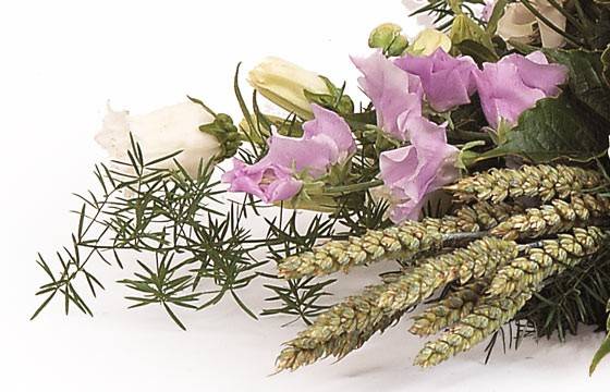 Fleurs en Deuil | vue sur des alstroemerias et lysianthus de la raquette de deuil Fleurs en Deuil | vue sur des alstroemerias et lysianthus de la raquette de deuil