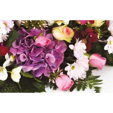 Fleurs en Deuil | zoom sur un magnifique hortensia de la Raquette de fleurs de deuil "Memory"