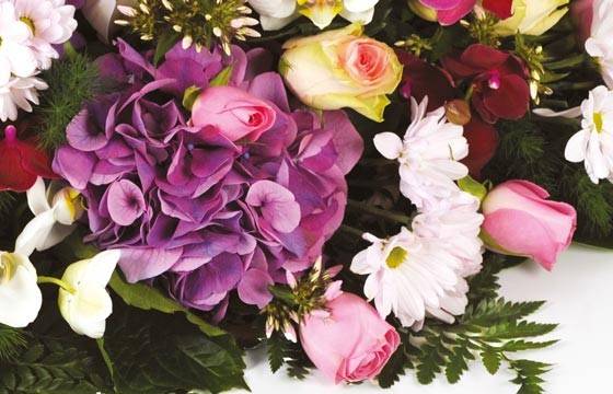 Fleurs en Deuil | zoom sur un magnifique hortensia de la Raquette de fleurs de deuil "Memory"