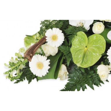 Fleurs en Deuil | zoom sur des gerberas blancs et un anthurium vert