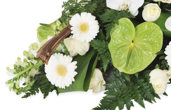 Fleurs en Deuil | zoom sur des gerberas blancs et un anthurium vert Fleurs en Deuil | zoom sur des gerberas blancs et un anthurium vert