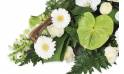 Fleurs en Deuil | zoom sur des gerberas blancs et un anthurium vert