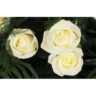 Fleurs en Deuil | vue sur trois roses blanches de la Raquette de roses blanches "L'Ange Gardien"