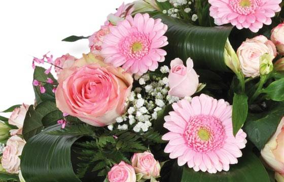 Fleurs en Deuil | vue sur les gerberas et les roses de la Composition de fleurs deuil rose "Repos Eternel" Fleurs en Deuil | vue sur les gerberas et les roses de la Composition de fleurs deuil rose "Repos Eternel"
