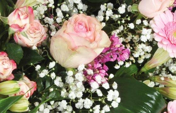 Fleurs en Deuil | vue sur des roses roses et du gypsophile de la Composition de fleurs deuil rose "Repos Eternel" Fleurs en Deuil | vue sur des roses roses et du gypsophile de la Composition de fleurs deuil rose "Repos Eternel"