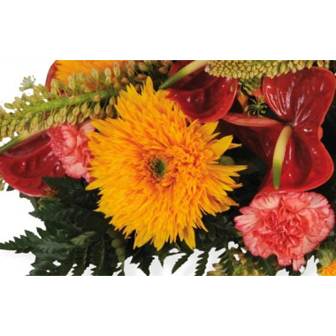 Fleurs en Deuil | Vue sur un double gerberas orange de la Raquette rouge & orange "L'Eclipse"