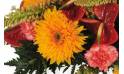 Fleurs en Deuil | Vue sur un double gerberas orange de la Raquette rouge & orange "L'Eclipse"