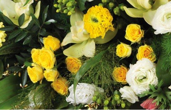 Fleurs en Deuil | vue sur des roses jaunes de la Raquettes fleurs colorées de deuil "Comète" Fleurs en Deuil | vue sur des roses jaunes de la Raquettes fleurs colorées de deuil "Comète"