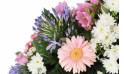 Fleurs en Deuil | vue sur un gerberas rose et une agapanthes mauve de la Raquette de deuil tricolore "L'Aurore"