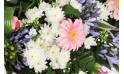 Fleurs en Deuil | vue sur des refours blancs et un gerberas rose