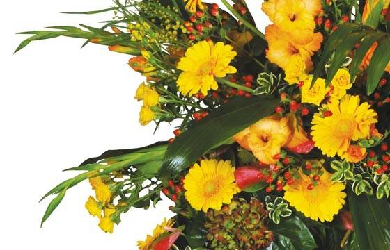 Fleurs en Deuil | vue sur des glaïeuls jaune et des gerberas jaunes de la Couronne de fleurs jaune "Lumière" Fleurs en Deuil | vue sur des glaïeuls jaune et des gerberas jaunes de la Couronne de fleurs jaune "Lumière"