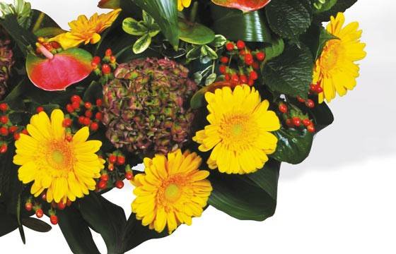 Fleurs en Deuil | Vue sur des gerberas jaunes et des hortensia vert-pourpre de la Couronne de fleurs jaune "Lumière" Fleurs en Deuil | Vue sur des gerberas jaunes et des hortensia vert-pourpre de la Couronne de fleurs jaune "Lumière"