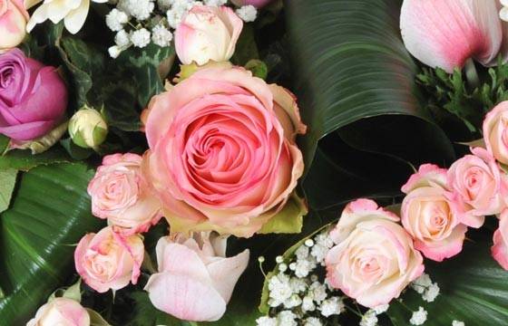 Fleurs en Deuil | image d'une rose rose de la Couronne de fleurs blanche et rose "Infinie Tendresse"