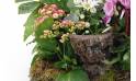 Fleurs en Deuil | vue sur le bas de la coupe de plantes Infini