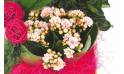 Fleurs en Deuil | vue sur un kalanchoé de la Composition de plantes vertes & Fleuries "Souvenir"