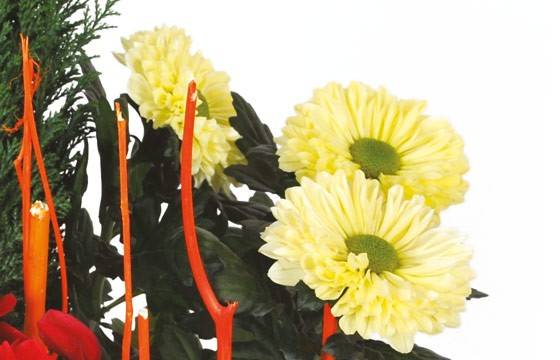 Fleurs en Deuil | zoom sur les chrysanthèmes de la Composition deuil rouge & jaune Jardin d'Hiver