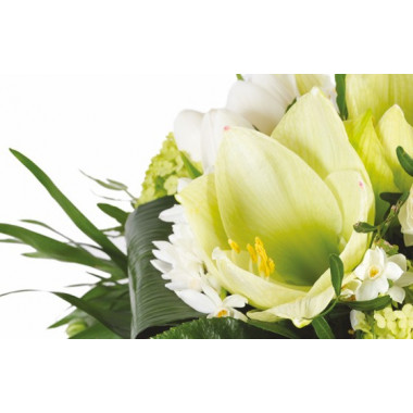 Fleurs en Deuil | zoom sur un amaryllis blanc du Bouquet de saison Cocon