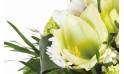 Fleurs en Deuil | zoom sur un amaryllis blanc du Bouquet de saison Cocon