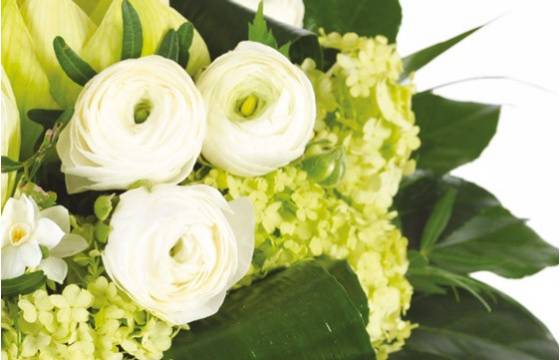 Fleurs en Deuil | zoom sur de magnifique renoncules du Bouquet de saison Cocon
