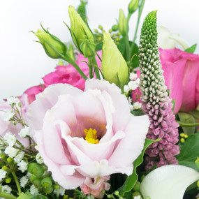 Fleurs en Deuil | mosaïque : macro sur un lisianthus du Bouquet rond de fleurs deuil "Notre Soutien"