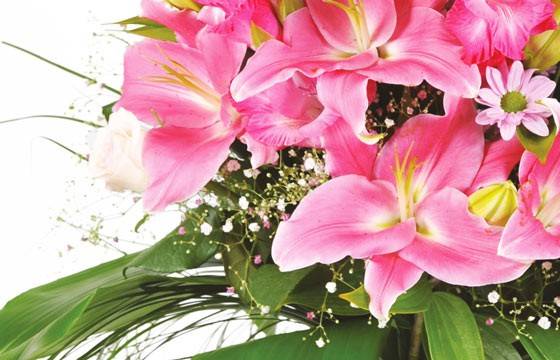 Fleurs en Deuil | zoom sur des lys rose du Bouquet deuil tons roses "Emotion" Fleurs en Deuil | zoom sur des lys rose du Bouquet deuil tons roses "Emotion"