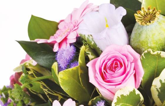 Fleurs en Deuil | Zoom sur les fleurettes de saisons du Bouquet de fleurs rond deuil "Reflet" Fleurs en Deuil | Zoom sur les fleurettes de saisons du Bouquet de fleurs rond deuil "Reflet"