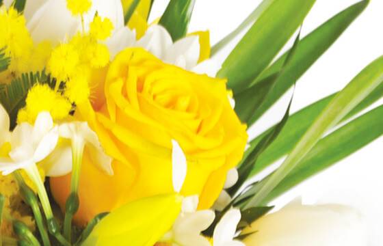 Fleurs en Deuil| zoom sur une rose jaune du bouquet Boucle d'Or Fleurs en Deuil| zoom sur une rose jaune du bouquet Boucle d'Or