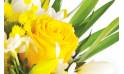 Fleurs en Deuil|  zoom sur une rose jaune du bouquet Boucle d'Or