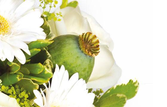 Fleurs en Deuil | zoom sur un pavot du Bouquet de fleurs deuil "Rêve Blanc"