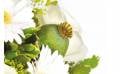 Fleurs en Deuil | zoom sur un pavot du Bouquet de fleurs deuil "Rêve Blanc"