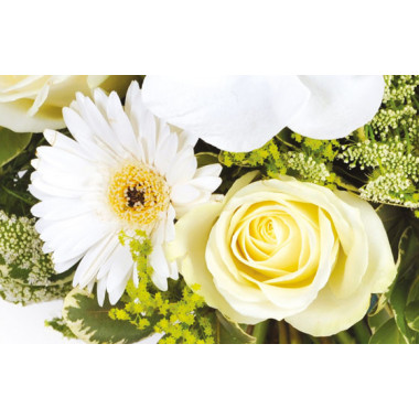 Fleurs en Deuil | zoom sur une rose blanche et un gerbera blanc du Bouquet de fleurs deuil "Rêve Blanc"