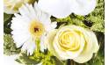 Fleurs en Deuil | zoom sur une rose blanche et un gerbera blanc du Bouquet de fleurs deuil "Rêve Blanc"