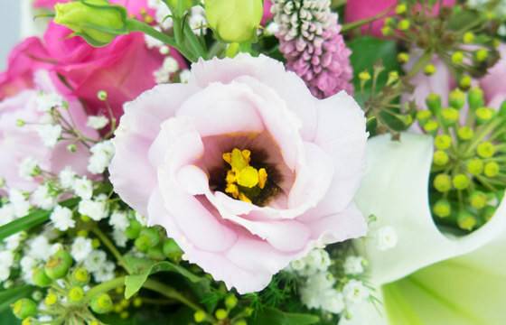 Fleurs en Deuil | macro sur un lisianthus du Bouquet rond de fleurs deuil "Notre Soutien" Fleurs en Deuil | macro sur un lisianthus du Bouquet rond de fleurs deuil "Notre Soutien"