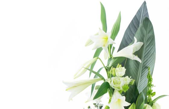 Fleurs en Deuil | zoom sur le haut du Bouquet de deuil blanc "Condoléances" Fleurs en Deuil | zoom sur le haut du Bouquet de deuil blanc "Condoléances"