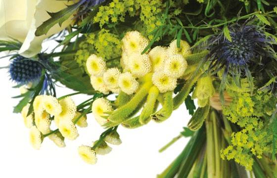 Fleurs en Deuil| zoom sur des fleurette du bouquet Alchimie