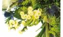 Fleurs en Deuil| zoom sur des fleurette du bouquet Alchimie