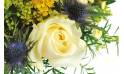 Fleurs en Deuil| Zoom sur une rose blanche