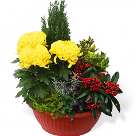 Fleurs en Deuil | image de la Coupe de plantes Jaune et Rouge pour cimetière