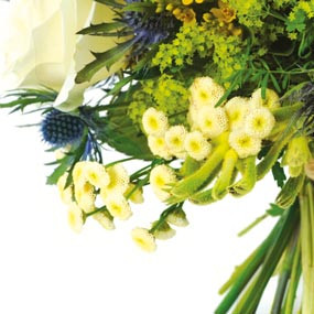 Fleurs en Deuil| zoom sur des fleurs du bouquet rond Alchimie