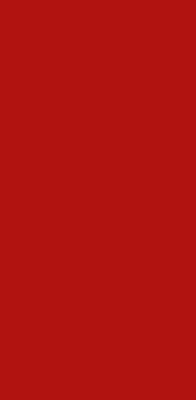 Fleurs en Deuil | mosaïque, couleur dominante rouge