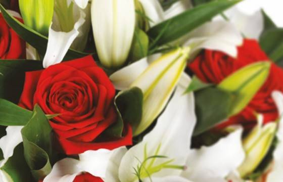 Fleurs en Deuil | Image d'une rose rouge du bouquet floral Fleurs en Deuil | Image d'une rose rouge du bouquet floral