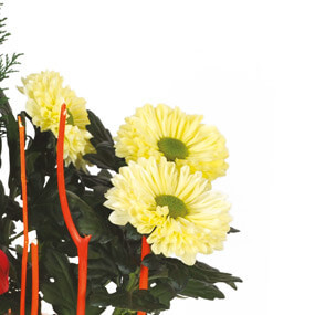 Fleurs en Deuil | mosaïque zoom sur des chrysanthème de la Composition deuil rouge & jaune Jardin d'Hiver