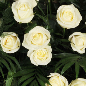 Fleurs en Deuil | mosaïque zoom sur des roses blanches